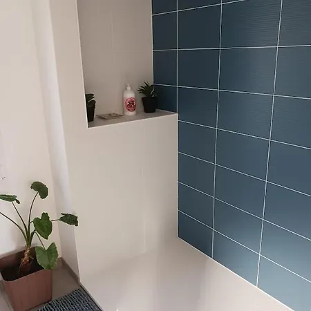 Neuf De Plain-pied Ruaudin